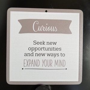 thirty-one - 5x5 Photo Inserts (Curious)
